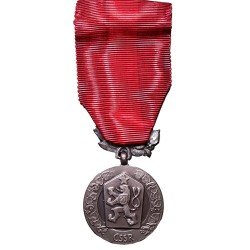 medals-for-merit-for-the-defence-of-the-homeland