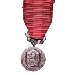 medals-for-merit-for-the-defence-of-the-homeland