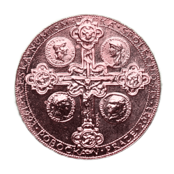 medal-for-30-years-of-cns-2023-prague