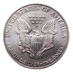 silver-eagle-1989-proof